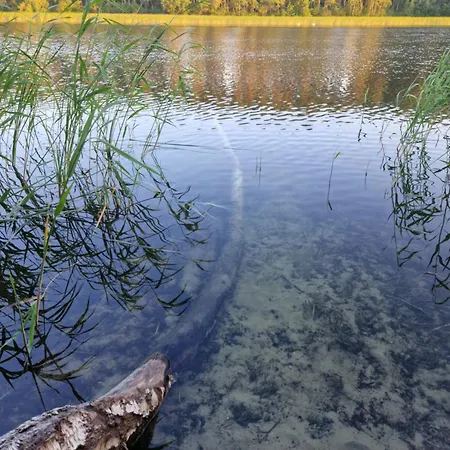 Wczasowe Wzgórze Сasa de vacaciones Swornegacie