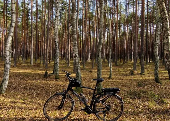 Wczasowe Wzgorze 斯沃尔纳加西耶