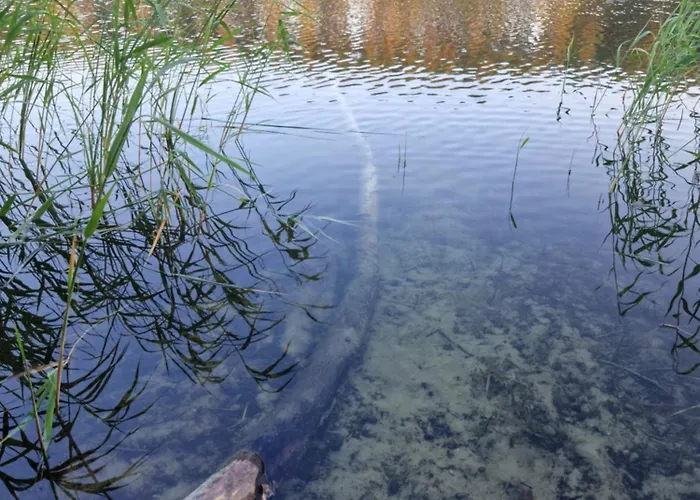 Wczasowe Wzgorze 度假居 斯沃尔纳加西耶